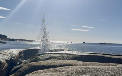 Day 6 – north to Bay of Fires