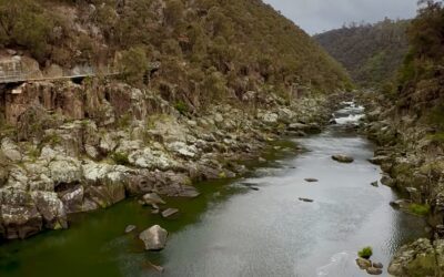 Launceston